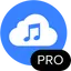 4K YouTube to MP3 Pro Logo