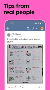 Reddit Screenshot No.2